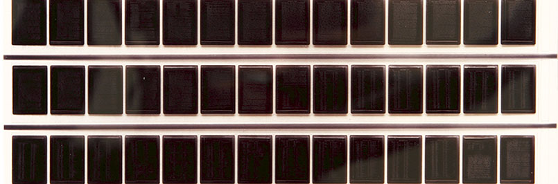 microfiche banner2